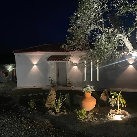 Daire Verande Nature Living